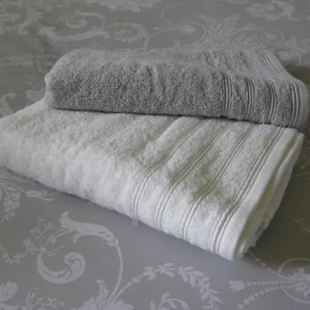 Chateau Des Berangers *