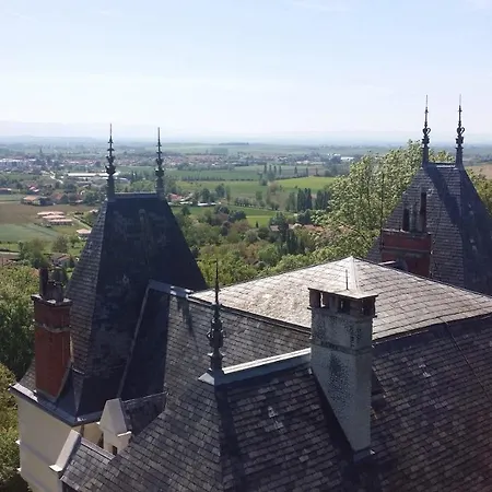 Villa Chateau Des Berangers