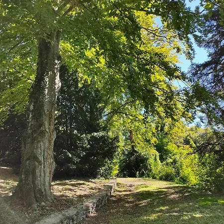 Chateau Des Berangers *