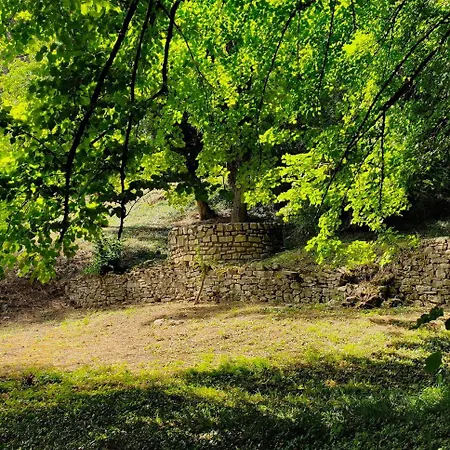 Chateau Des Berangers 住宿加早餐酒店